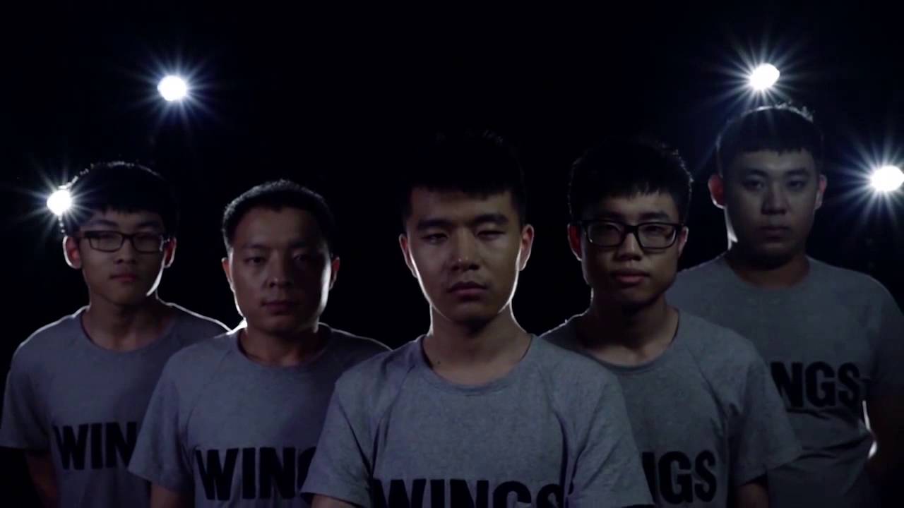 Wings gaming are your ti6 champions