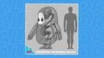 Fall Guys Anatomy