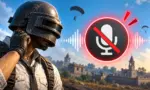 BGMI voice chat not working