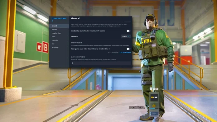 Screenshot showing the Steam options page for customizing Counter-Strike 2 launch settings