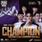 Nova XQF