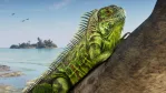 GTA 6 Animals