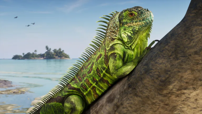 GTA 6 Animals: Wildlife, Birds and Sea Creatures Confirmed So Far