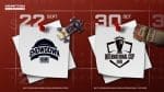 BGMI Next Tournament: BMSD 2026 and BMIC 2026 Set to Follow BGMS Season 5