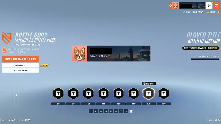 How To Get the ‘Kitten of Discord’ Title in Overwatch 2?