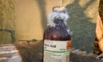 Guy In India Drinks Acid Instead Of Water, While Playing PUBG
