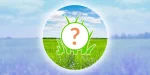 Pokemon GO May 2024 Spotlight Hours - Catch Rare Pokemon & Gain Evolution Bonuses