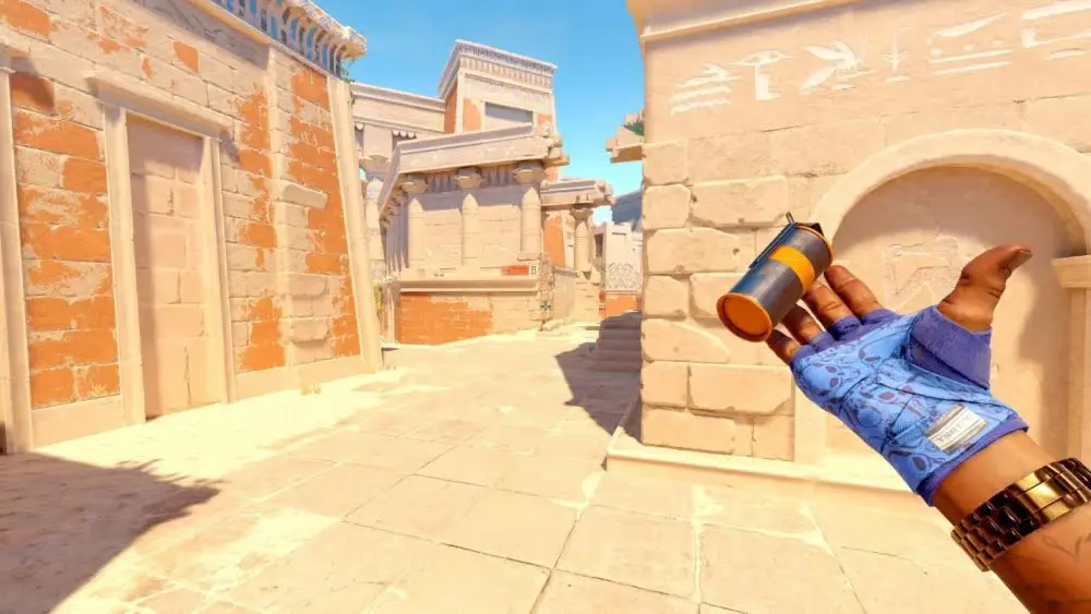 Role Specialisation CS2