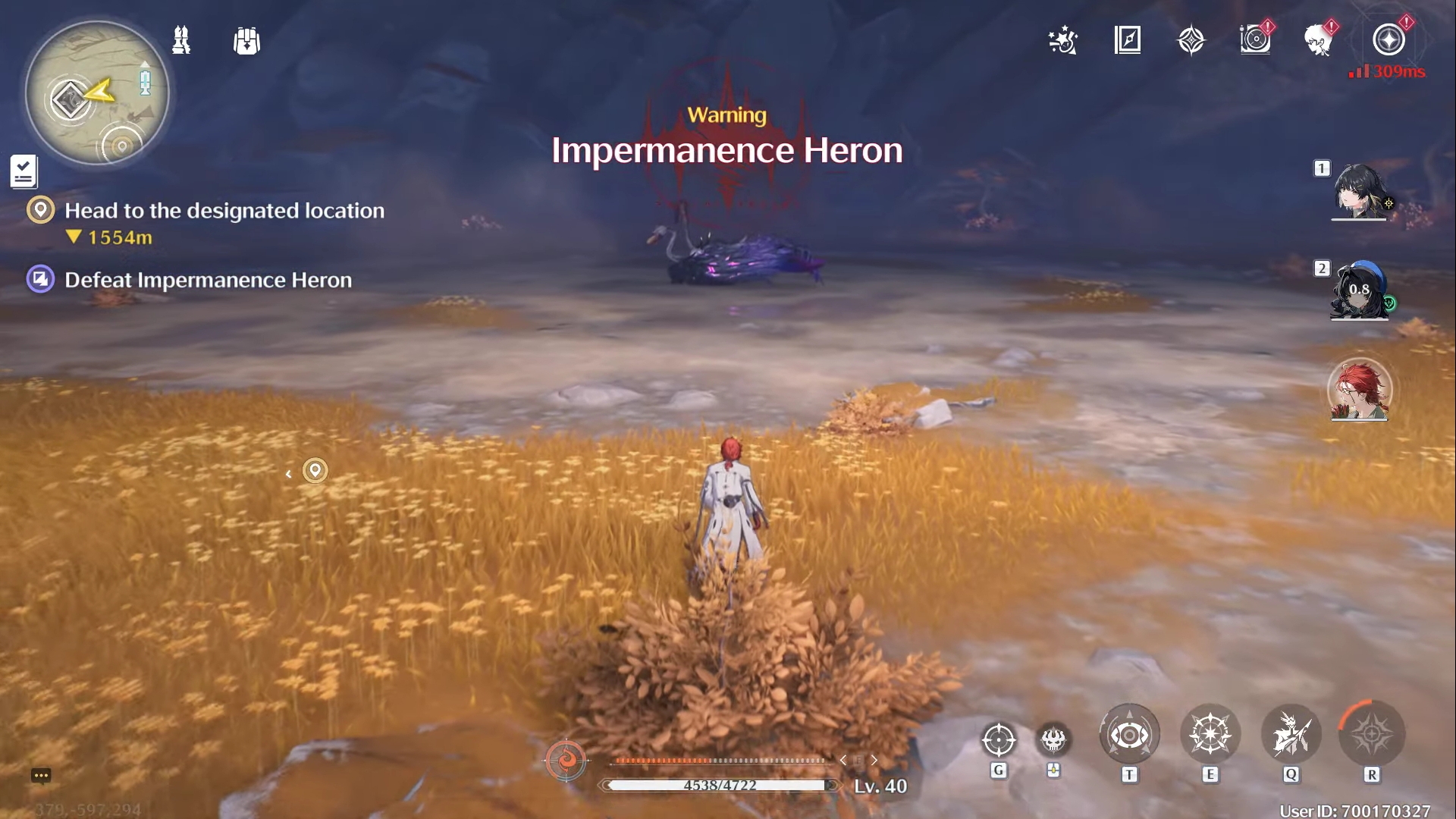 How to Defeat Impermanence Heron in Wuthering Waves?