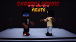 Shadow Boxing Fights