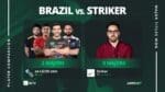 Striker csgo