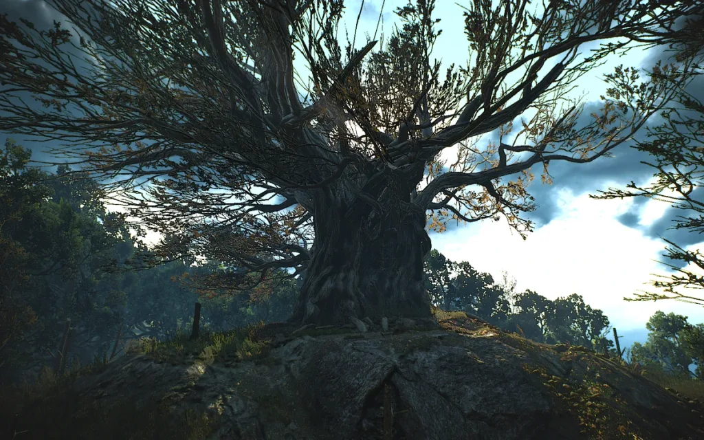 The Ancient Oak at the Whispering Hillock in Velen where Geralt meets the tree spirit in The Witcher 3