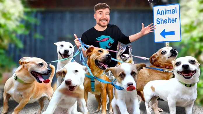 Thumbnail of MrBeast's YouTube video 'I Rescued 100 Abandoned Dogs!', amidst controversy and allegations of animal abuse.