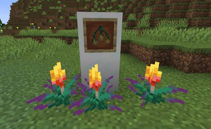 Torchflowers in Minecraft