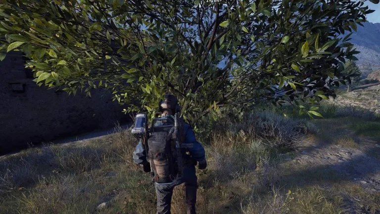 Where to Find Lemons and Apricots in Arc Raiders?