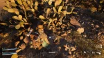 Where to Find Prickly Pear in Arc Raiders