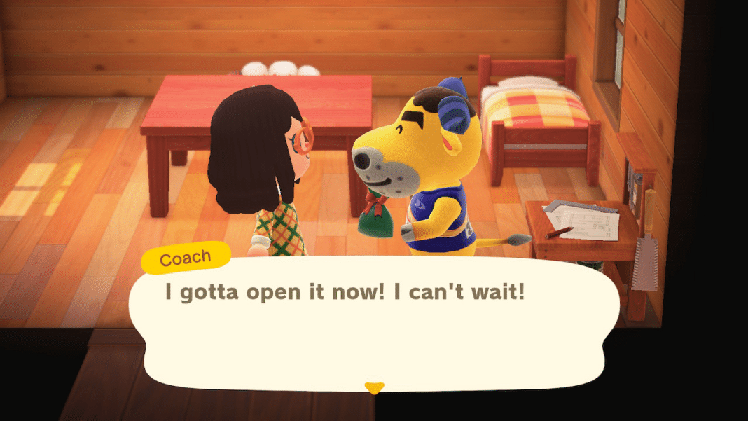 How to Get the Pro Decorating License in Animal Crossing