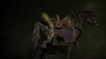 ashava cry trophy diablo 4