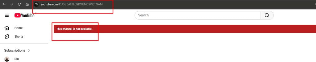 PUBG BATTLEGROUNDS Vietnam YouTube channel deactivated in September 2026