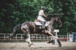 Overviewing The Future of Virtual Horse Racing In Today’s World