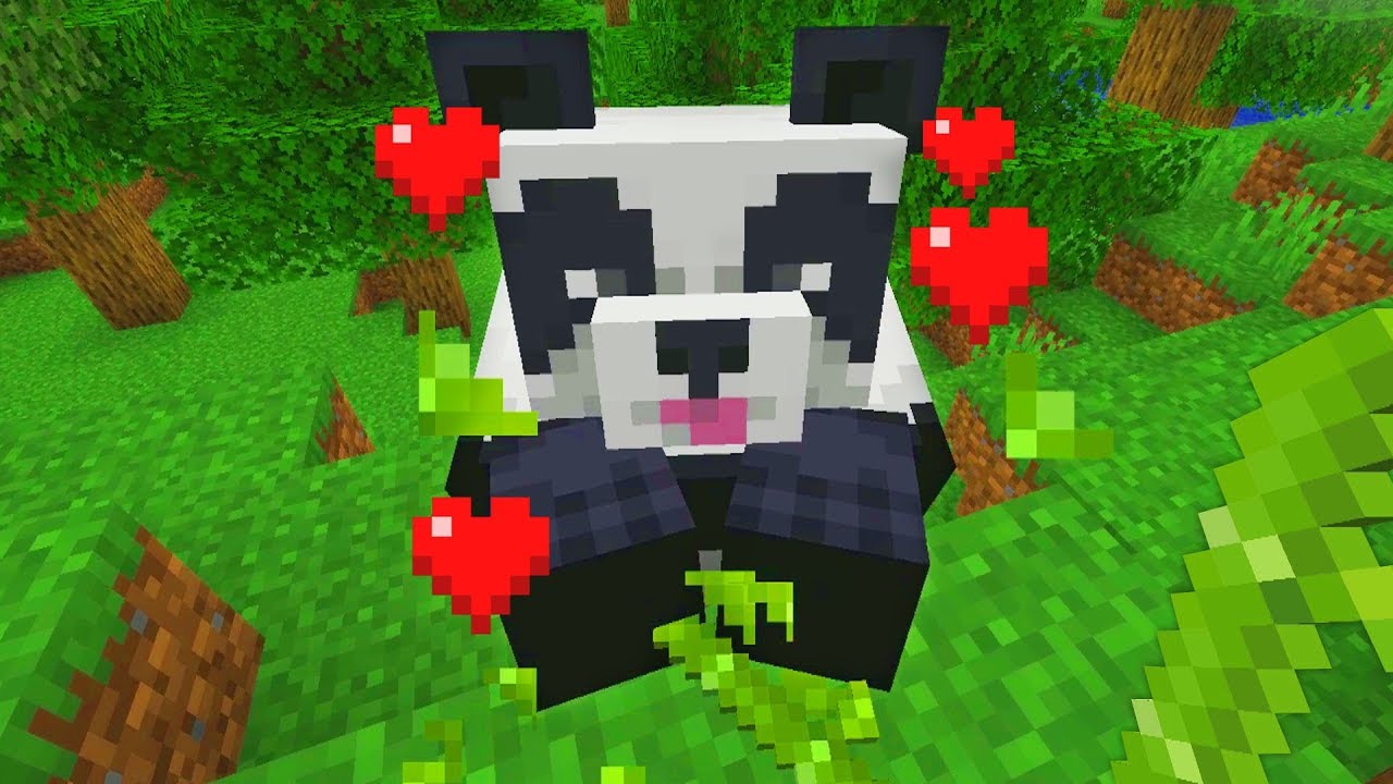 How to make pandas breed in Minecraft