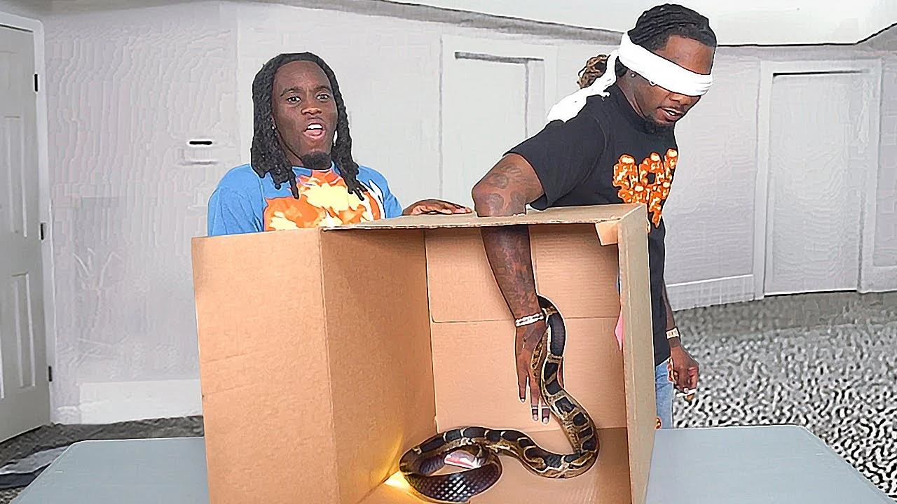 Offset disappointed with Kai Cenat as blindfold challenge goes wrong