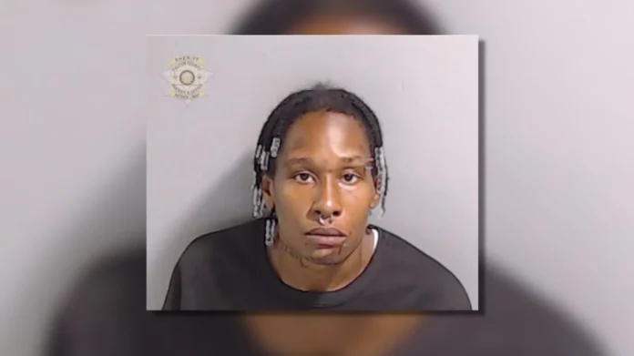 Mother Shoots Son Over Video Game Argument, Faces Charges