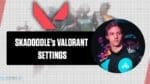 This Is Skadoodle’s VALORANT Configuration