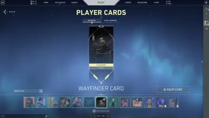 valorant player cards