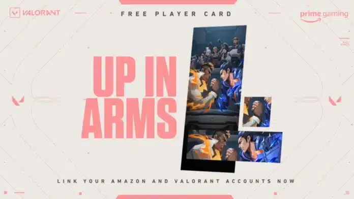 Valorant Up in Arms Player Card
